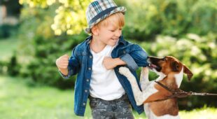 Hundebisse – Schmerzensgeldanspruch für verletztes Kind