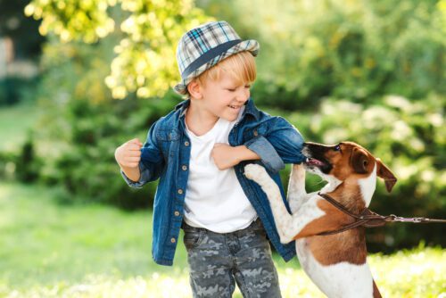 Hundebisse - Schmerzensgeldanspruch für verletztes Kind