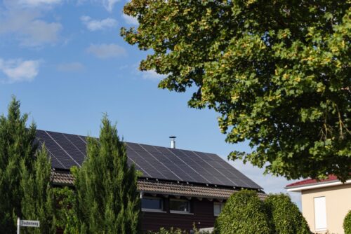 Fällgenehmigung für Baum bei Verschattung einer Solaranlage