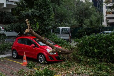 Beschädigung Arbeitnehmer-PKW durch umgestürzten Baum auf Mitarbeiterparkplatz