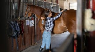Leih- bzw. Schenkungsvertrag – unentgeltliche Nutzungsüberlassung eines Pferdes
