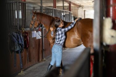 Leih- bzw. Schenkungsvertrag – unentgeltliche Nutzungsüberlassung eines Pferdes