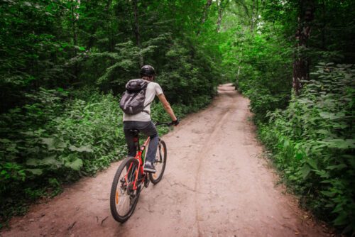 Verkehrssicherungspflicht Waldweg