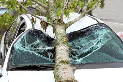 Ast verursacht Schaden: Fahrzeugbeschädigung auf Parkplatz